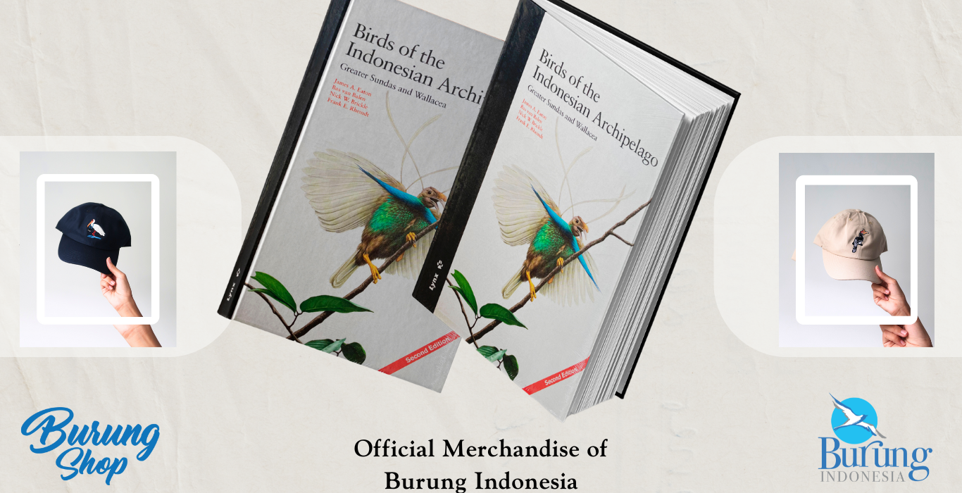 Official Merchandise (2)